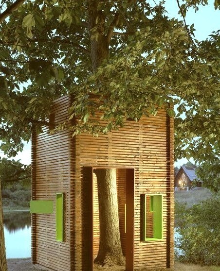 A House For A Tree